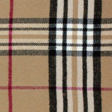 Load image into Gallery viewer, Plaid BB Scarf