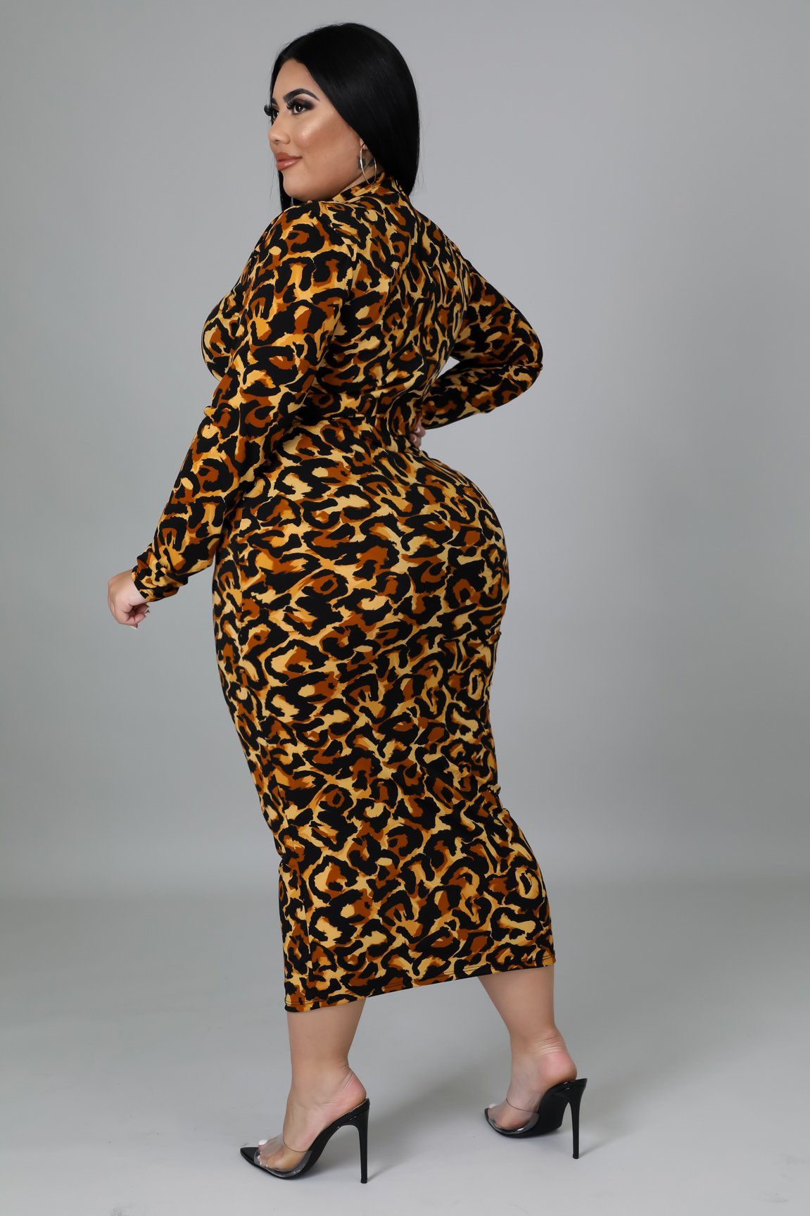 Salena Animal Print Dress