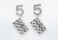 5 Purse Earrings