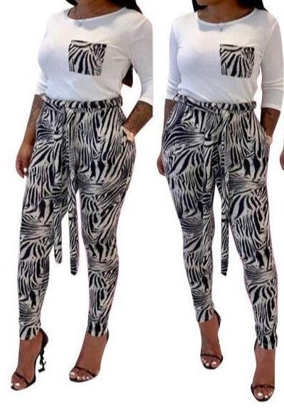 Juego de 2 estampados de cebra
